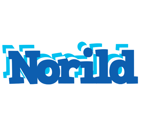 Norild business logo