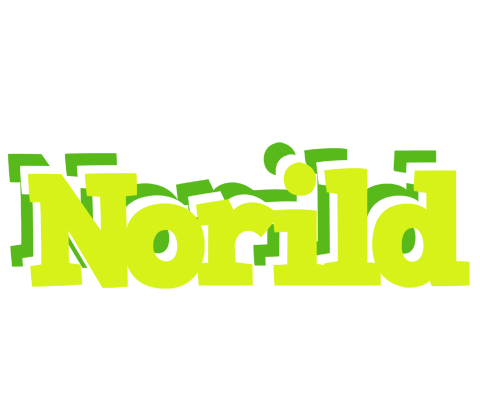 Norild citrus logo