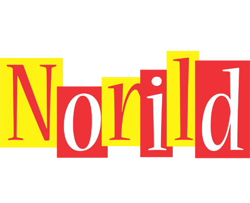 Norild errors logo