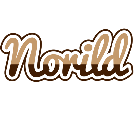 Norild exclusive logo