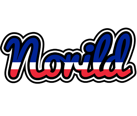 Norild france logo