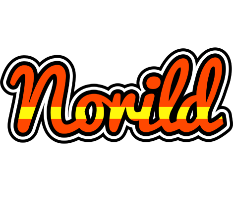 Norild madrid logo