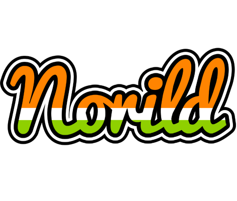 Norild mumbai logo