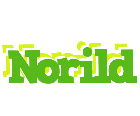 Norild picnic logo