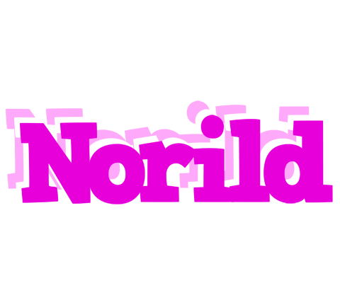 Norild rumba logo