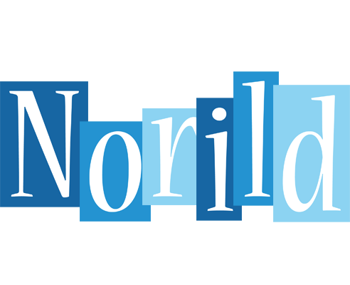Norild winter logo