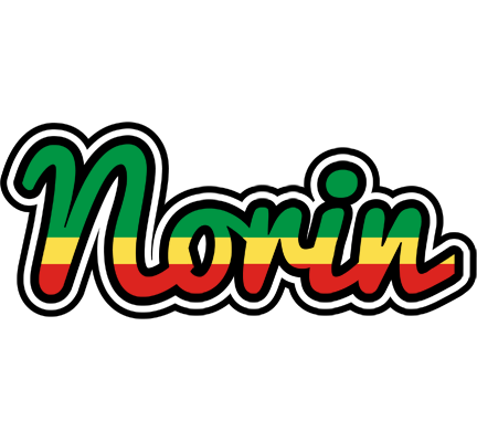 Norin african logo