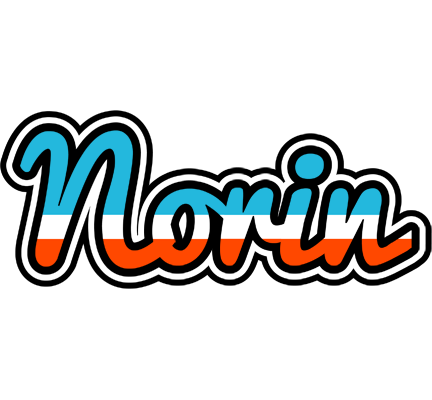 Norin america logo