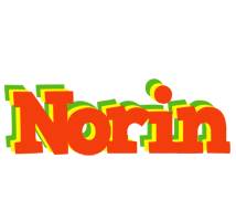 Norin bbq logo