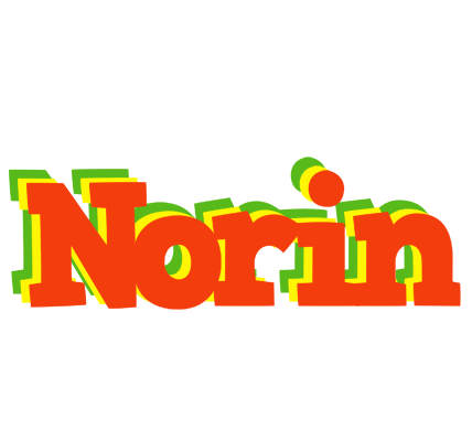 Norin bbq logo