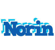 Norin business logo