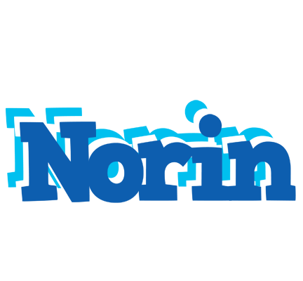 Norin business logo