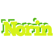 Norin citrus logo