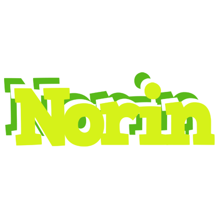 Norin citrus logo