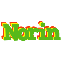 Norin crocodile logo