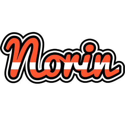 Norin denmark logo