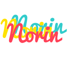 Norin disco logo