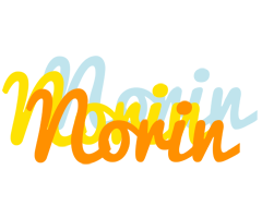 Norin energy logo