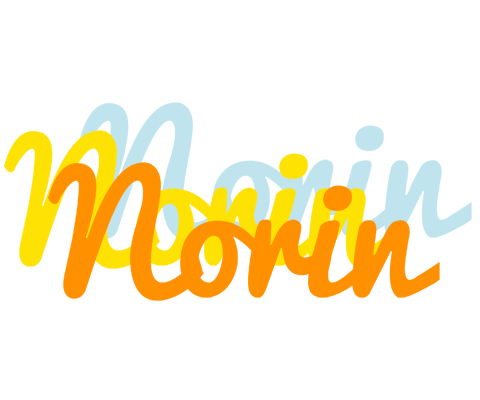 Norin energy logo