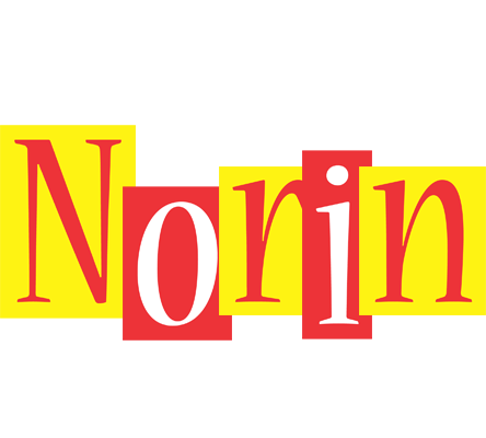 Norin errors logo