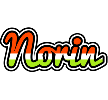 Norin exotic logo