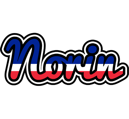 Norin france logo
