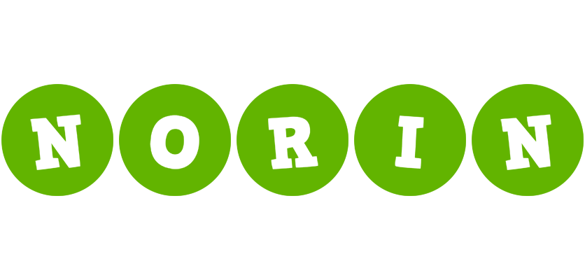 Norin games logo