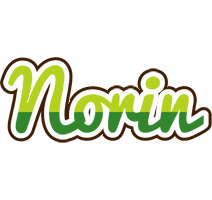 Norin golfing logo