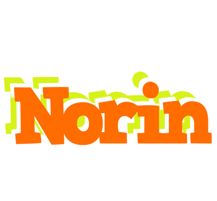 Norin healthy logo