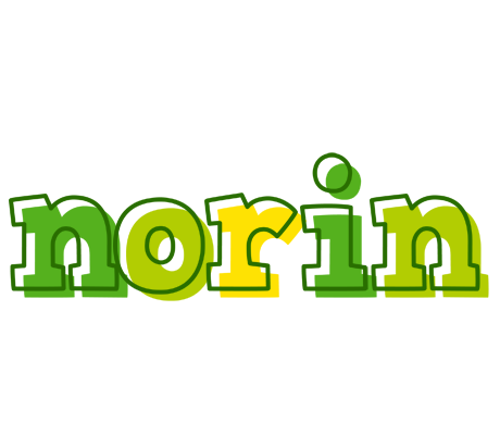 Norin juice logo