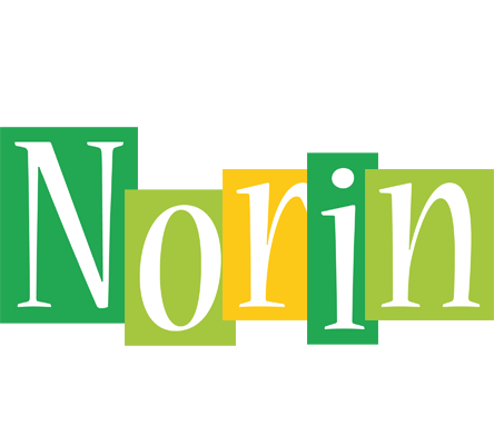 Norin lemonade logo