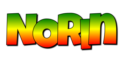 Norin mango logo