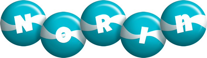 Norin messi logo