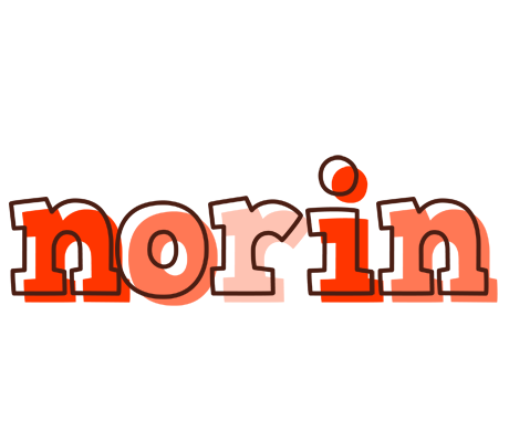 Norin paint logo