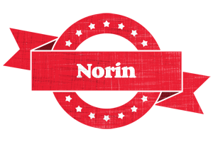 Norin passion logo