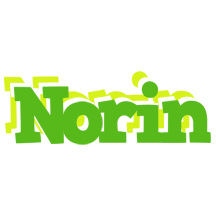 Norin picnic logo