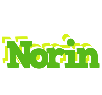 Norin picnic logo