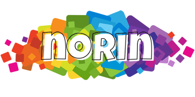 Norin pixels logo