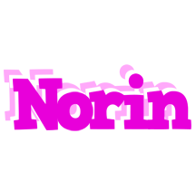Norin rumba logo