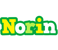 Norin soccer logo