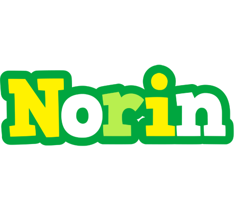 Norin soccer logo