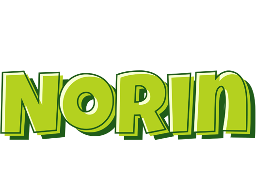 Norin summer logo