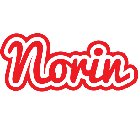 Norin sunshine logo