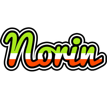 Norin superfun logo