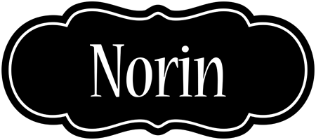 Norin welcome logo