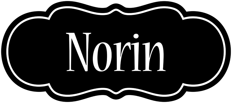 Norin welcome logo