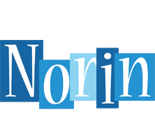 Norin winter logo