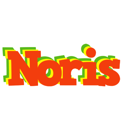 Noris bbq logo