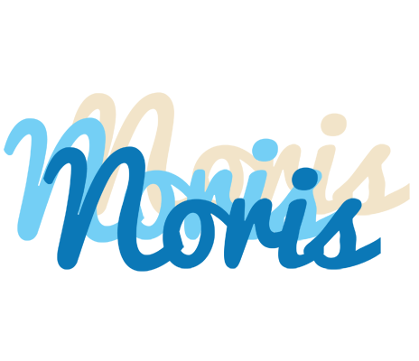 Noris breeze logo
