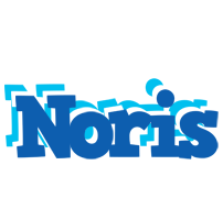 Noris business logo